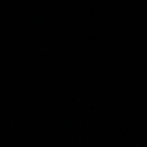 Meet your Posher, Justine